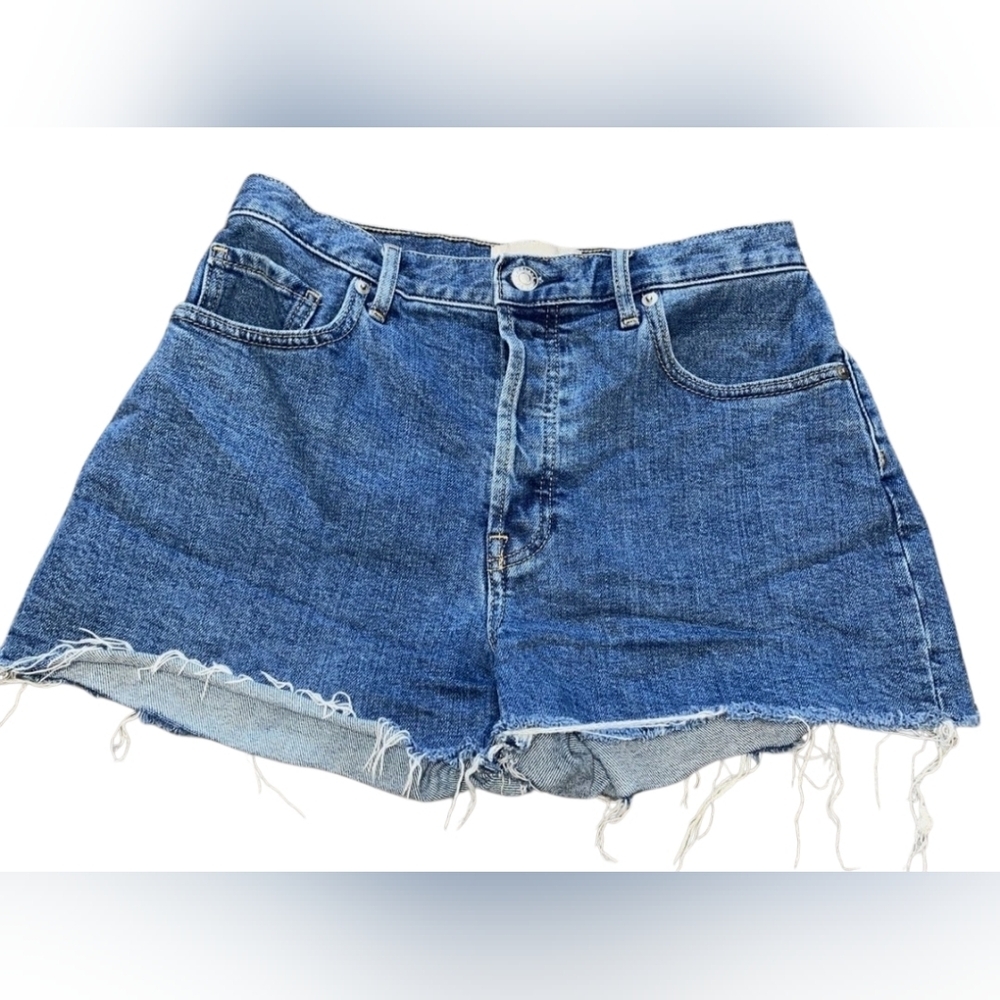 Everlane Blue Frayed Denim Shorts